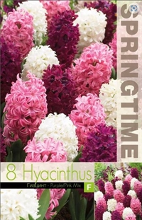 Hyacint mix pink 8 løg